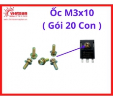 Ốc M3x10 ( Gói 20 Con )